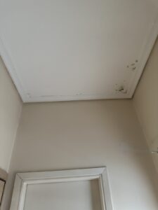 Μάυρα στίγματα στο ταβάνι - μούχλα