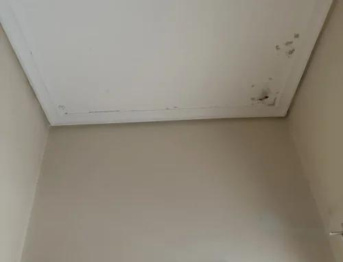 Μούχλα και υγρασία: Τεχνική ανάλυση και οριστική αντιμετώπιση